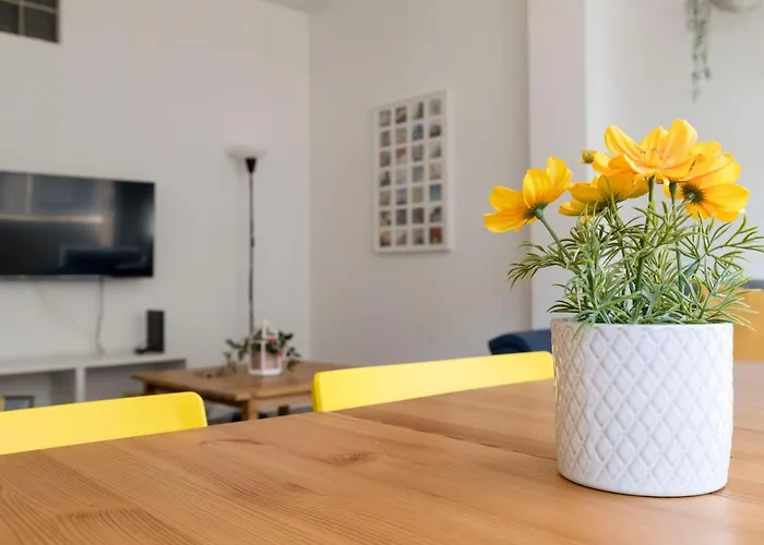 Travel & Live Bolhao 公寓 *